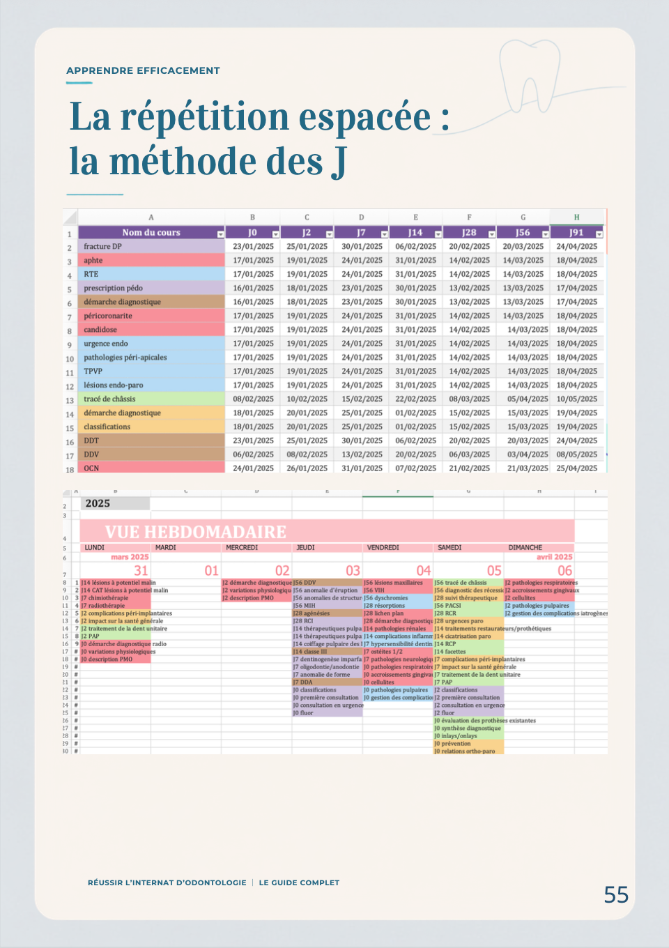 Réussir l’internat d’odontologie – Le guide complet